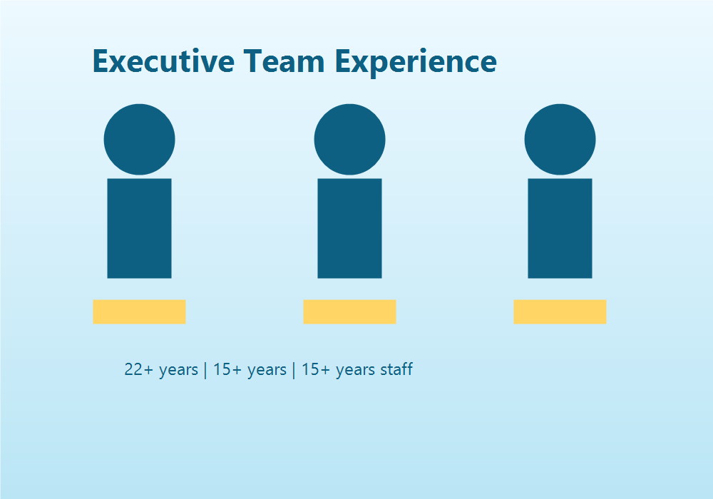 AI generated executive team experience visual